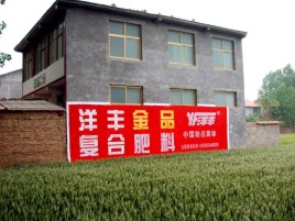 周宁如何让墙体广告展现最大化效果