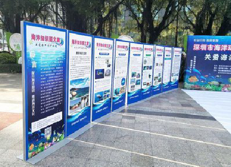 周宁KT板的种类和知识。